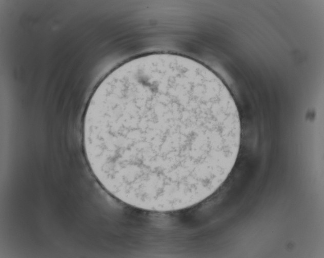 X0000094910807200712131451