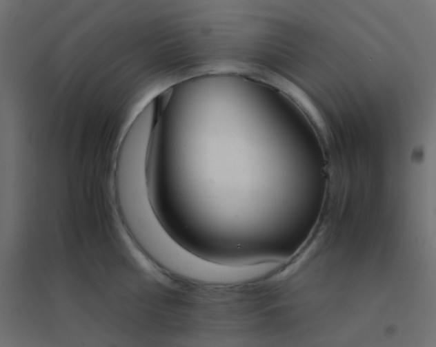 X0000094910810200712131451