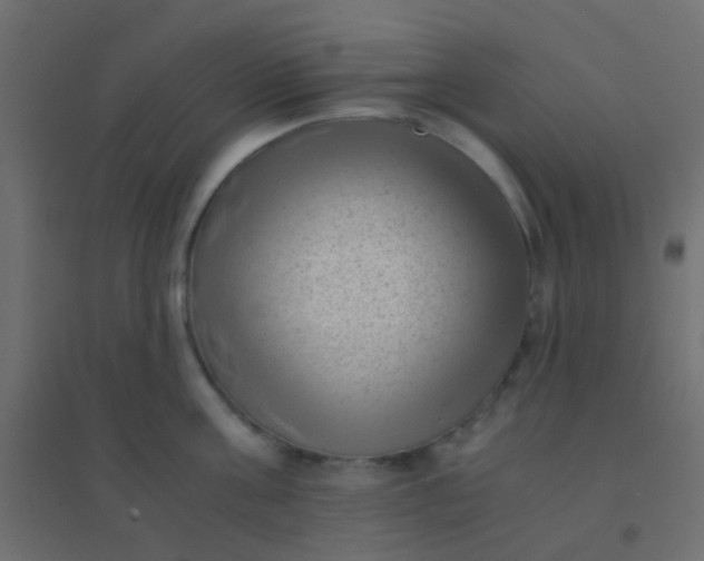 X0000094910811200712131451