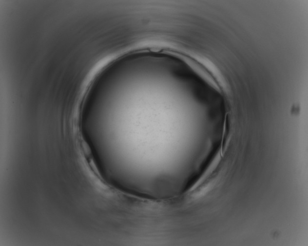 X0000094910815200712131451