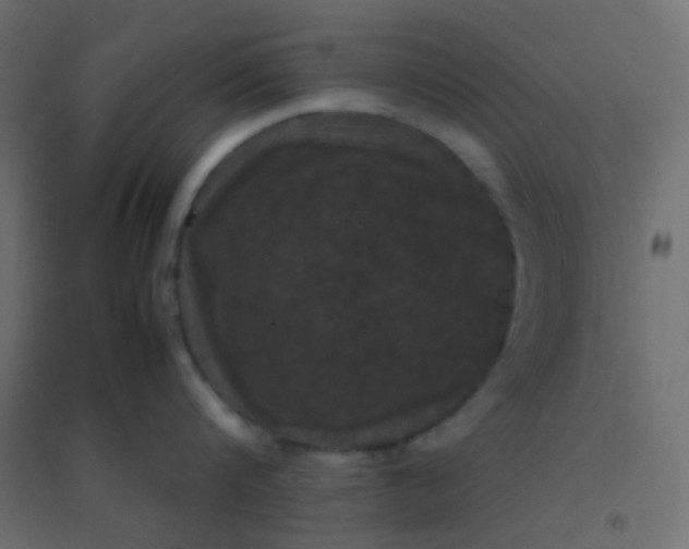 X0000094910816200712131451