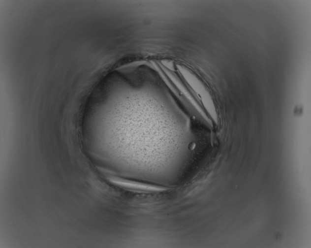 X0000094910817200712131451