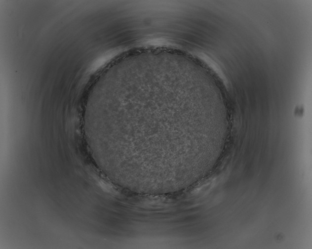 X0000094910823200712131451