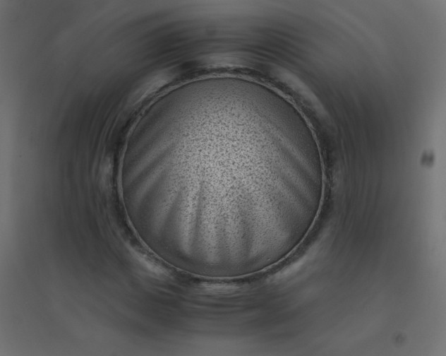 X0000094910825200712131451