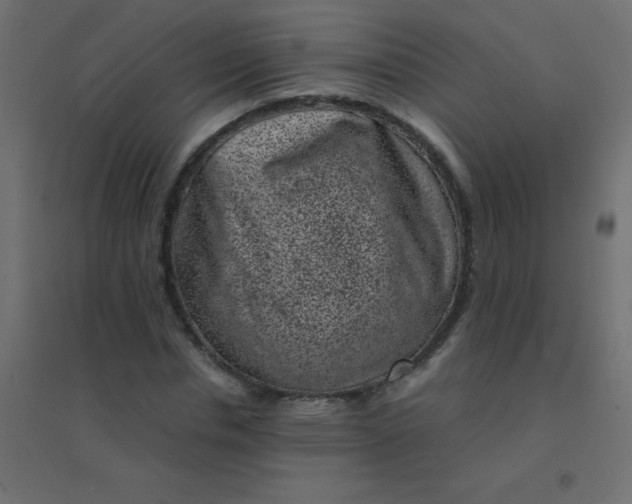 X0000094910826200712131451