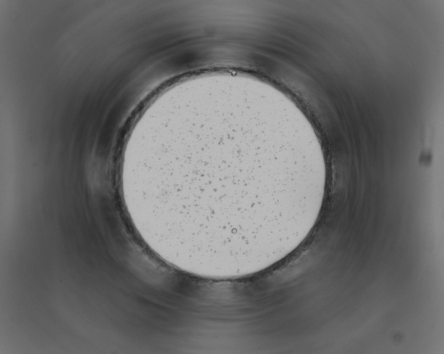 X0000094910828200712131451