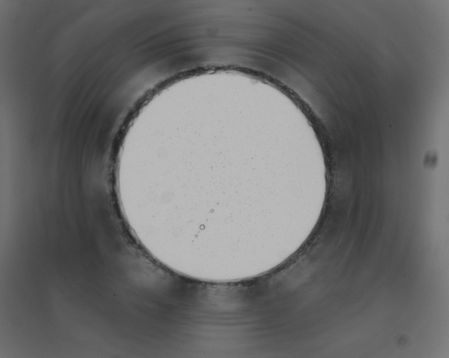 X0000094910832200712131451