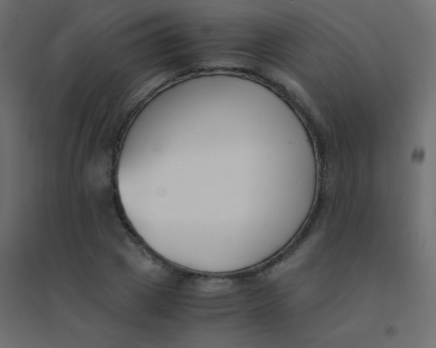 X0000094910833200712131451