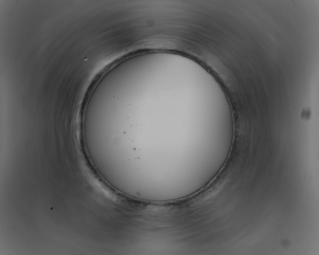 X0000094910840200712131451