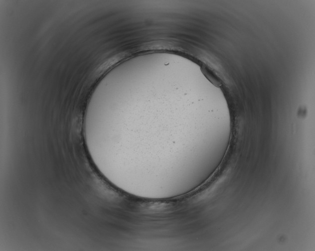 X0000094910841200712131451