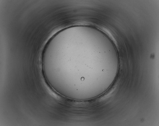 X0000094910843200712131451