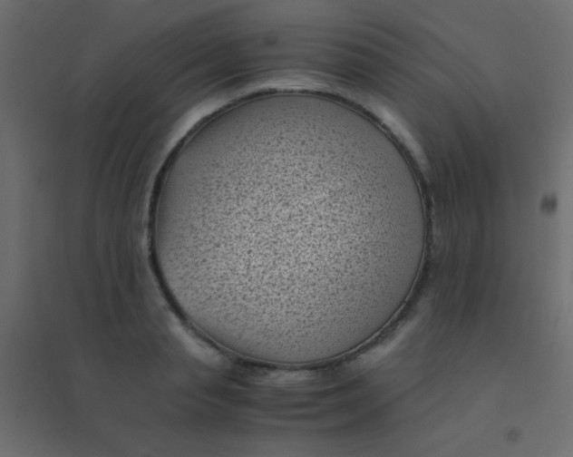 X0000094910845200712131451