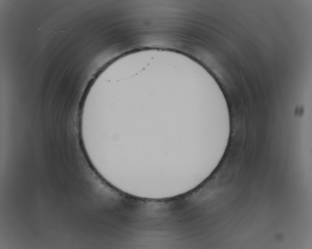 X0000094910848200712131451
