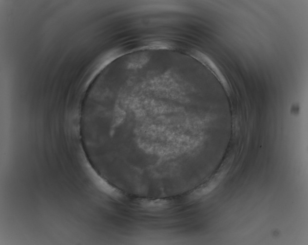 X0000094910851200712131451