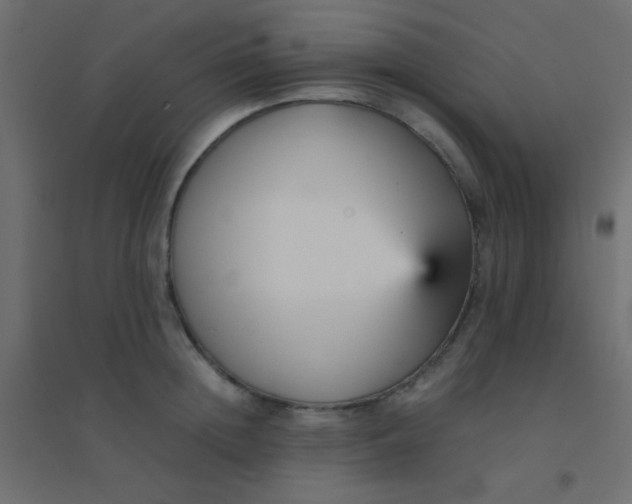 X0000094910852200712131451
