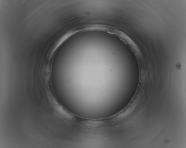 X0000094910860200712131451