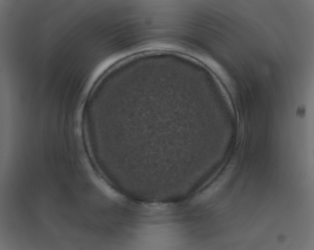 X0000094910862200712131451