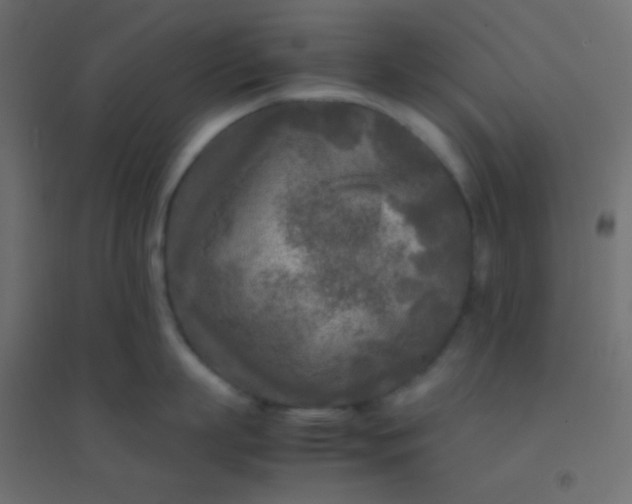 X0000094910863200712131451