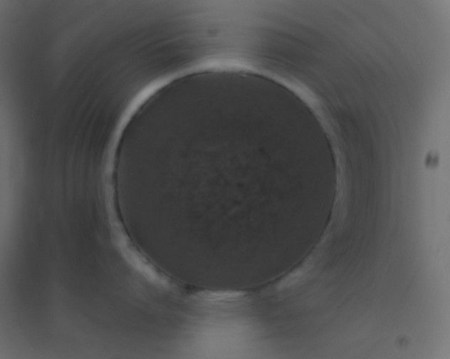 X0000094910864200712131451