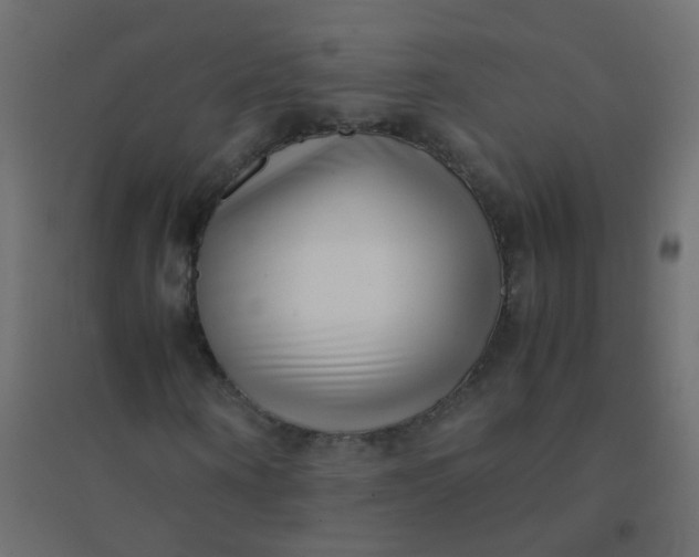 X0000094910866200712131451