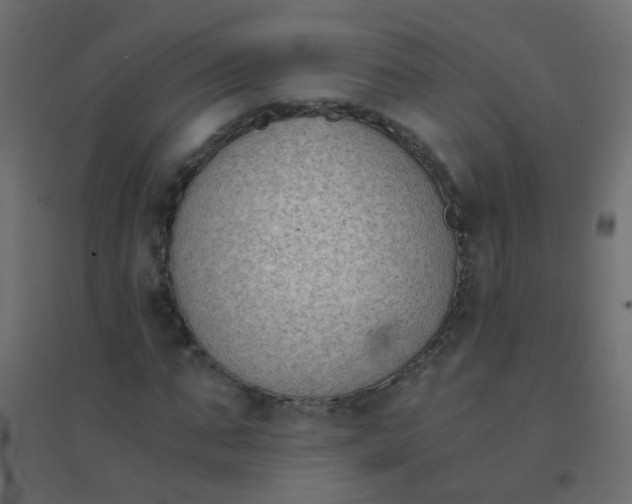 X0000094910871200712131451