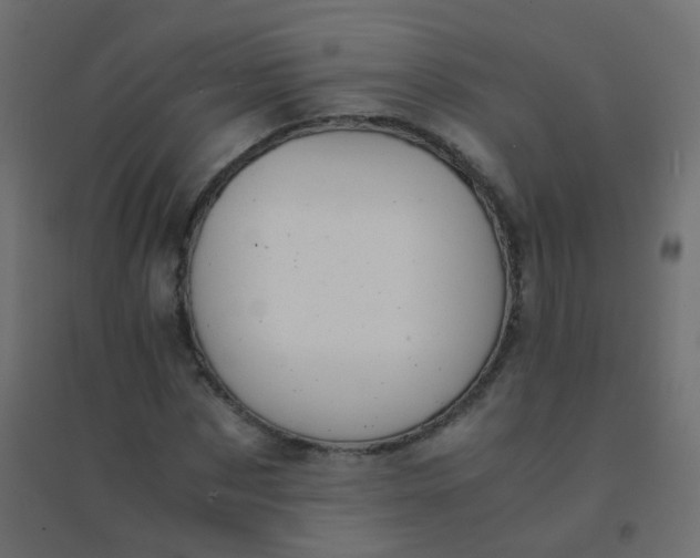 X0000094910873200712131450
