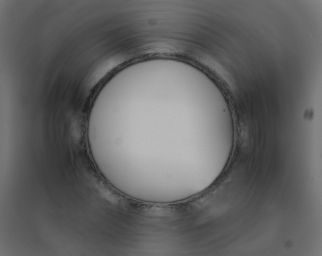 X0000094910874200712131450