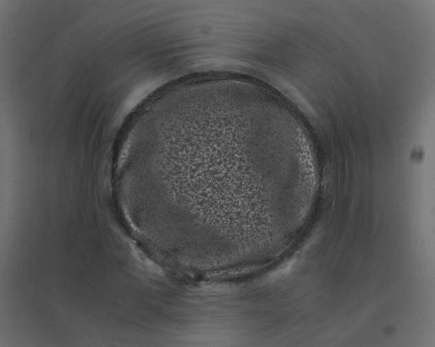 X0000094910877200712131450