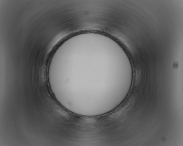 X0000094910878200712131450