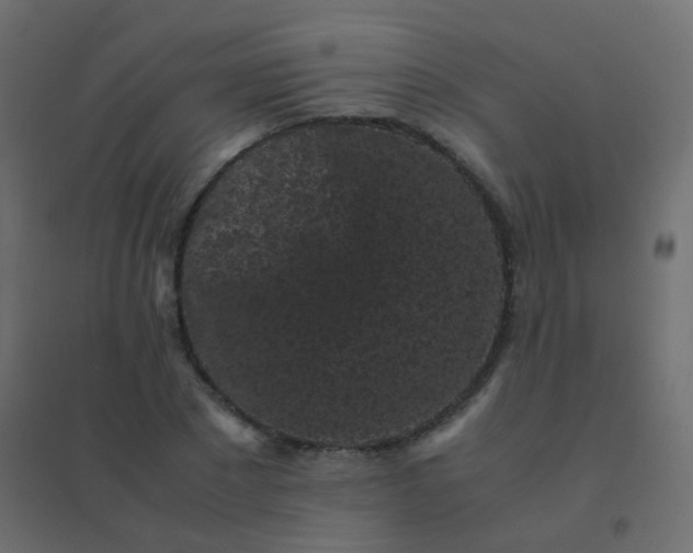 X0000094910881200712131450