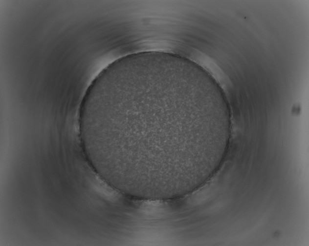 X0000094910883200712131450