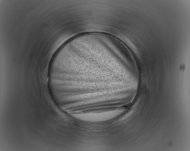 X0000094910885200712131450