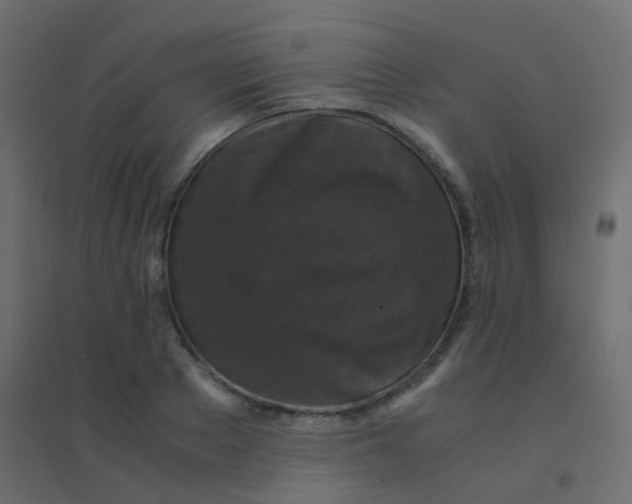 X0000094910889200712131450