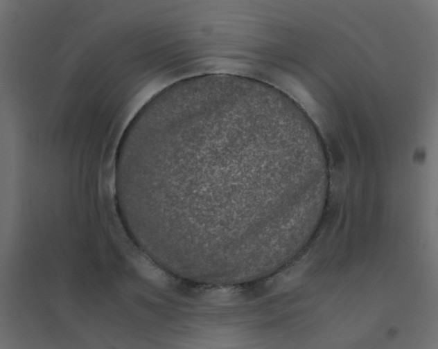 X0000094910891200712131450