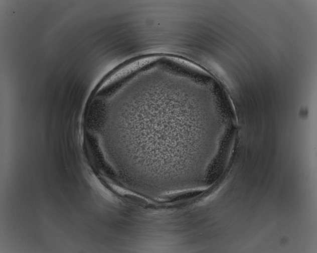 X0000094910892200712131450
