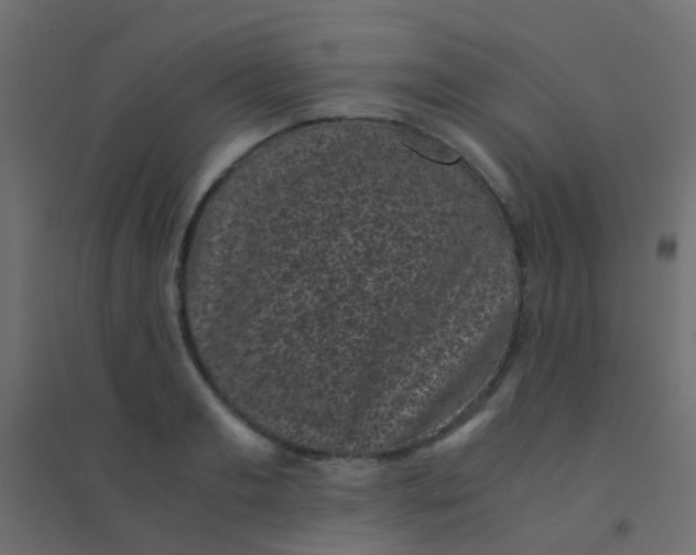 X0000094910893200712131450
