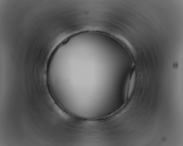 X0000094910894200712131450