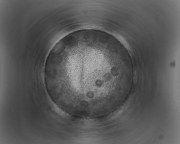 X0000094910895200712131450