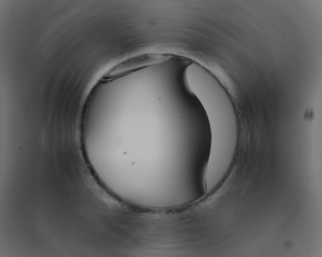 X0000094910896200712131450