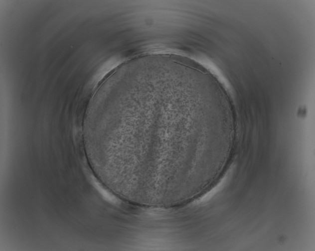 X0000094910897200712131450
