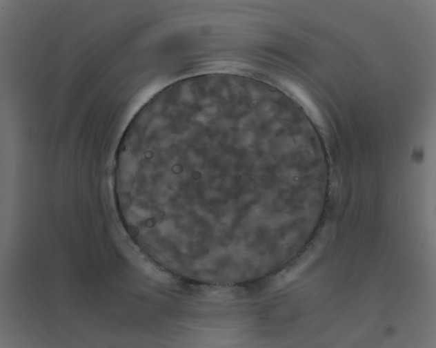 X0000094910899200712131450