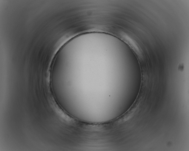 X0000094910900200712131450