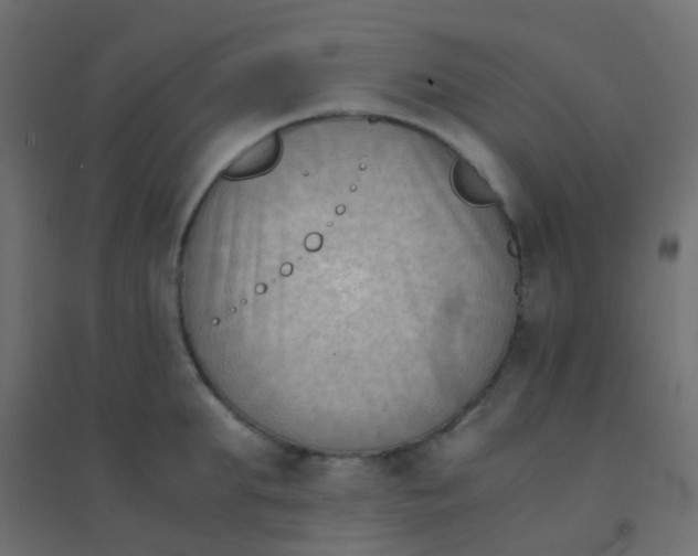 X0000094910903200712131450