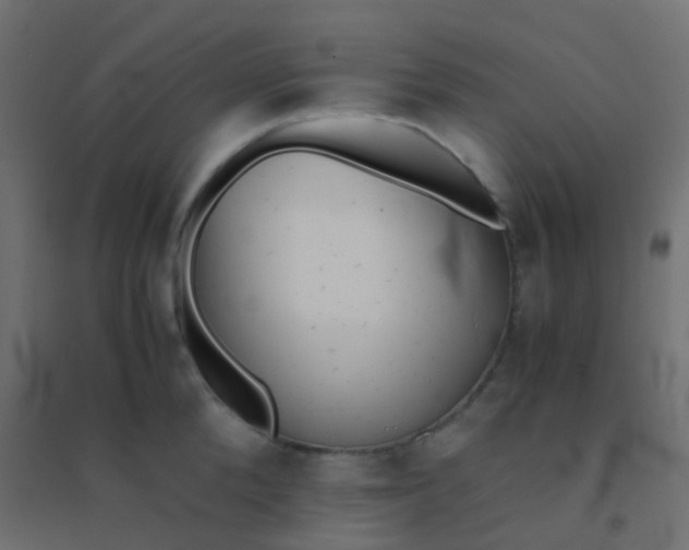 X0000094910904200712131450