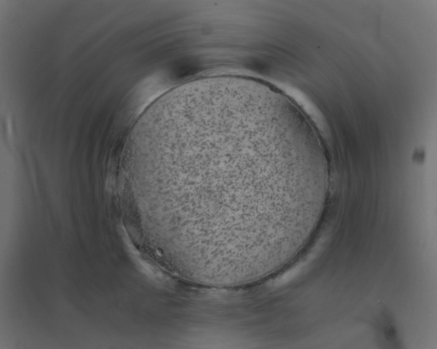 X0000094910905200712131450