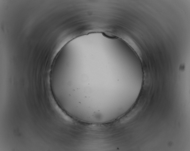 X0000094910906200712131450