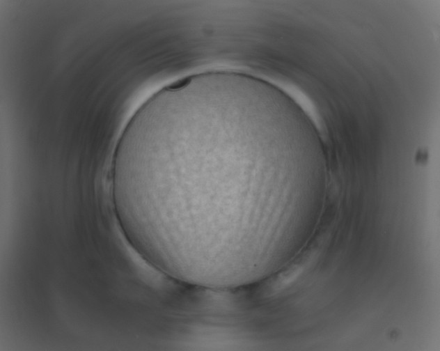 X0000094910911200712131450