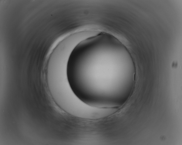 X0000094910912200712131450