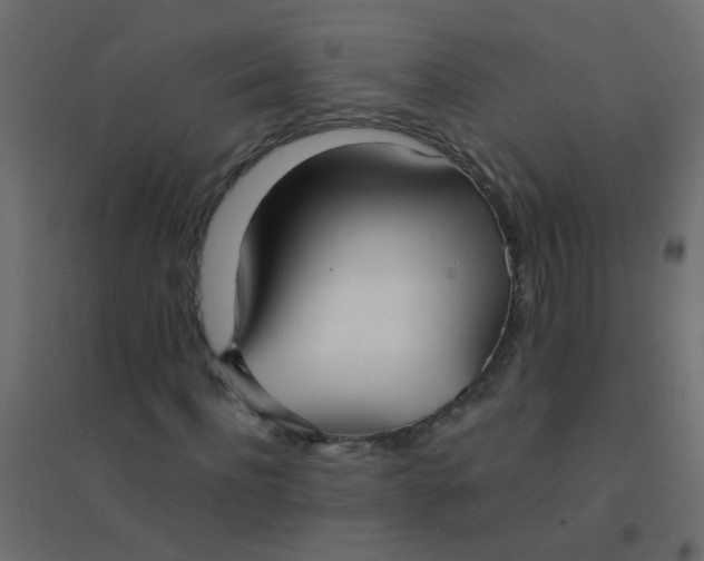 X0000094910916200712131449