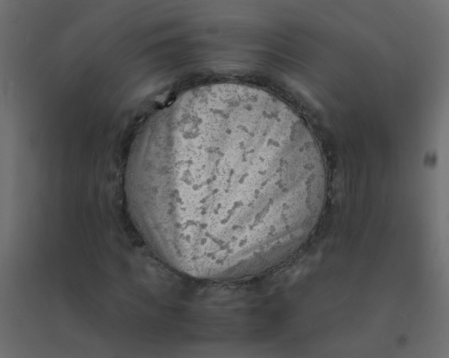 X0000094910917200712131449